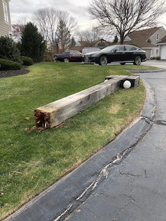 the fallen
      20191114 lightpost