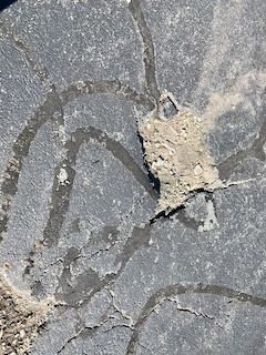 closeup of driveway pothole